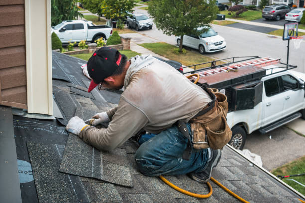 Professional Storm Damage Roof Repair technician working in Mack, CO